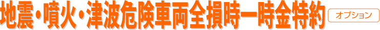 地震・噴火・津波危険車両全損時一時金特約