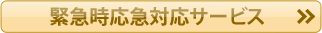 緊急時応急対応サービス