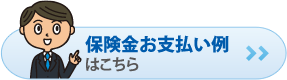 保険金お支払い例