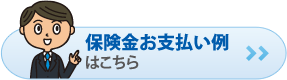 保険金お支払い例