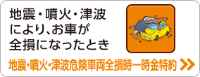 地震・噴火・津波危険車両全損時一時金特約