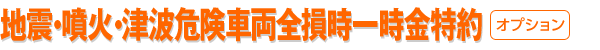 地震・噴火・津波危険車両全損時一時金特約