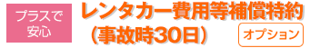 レンタカー費用等補償特約（事故時30日）